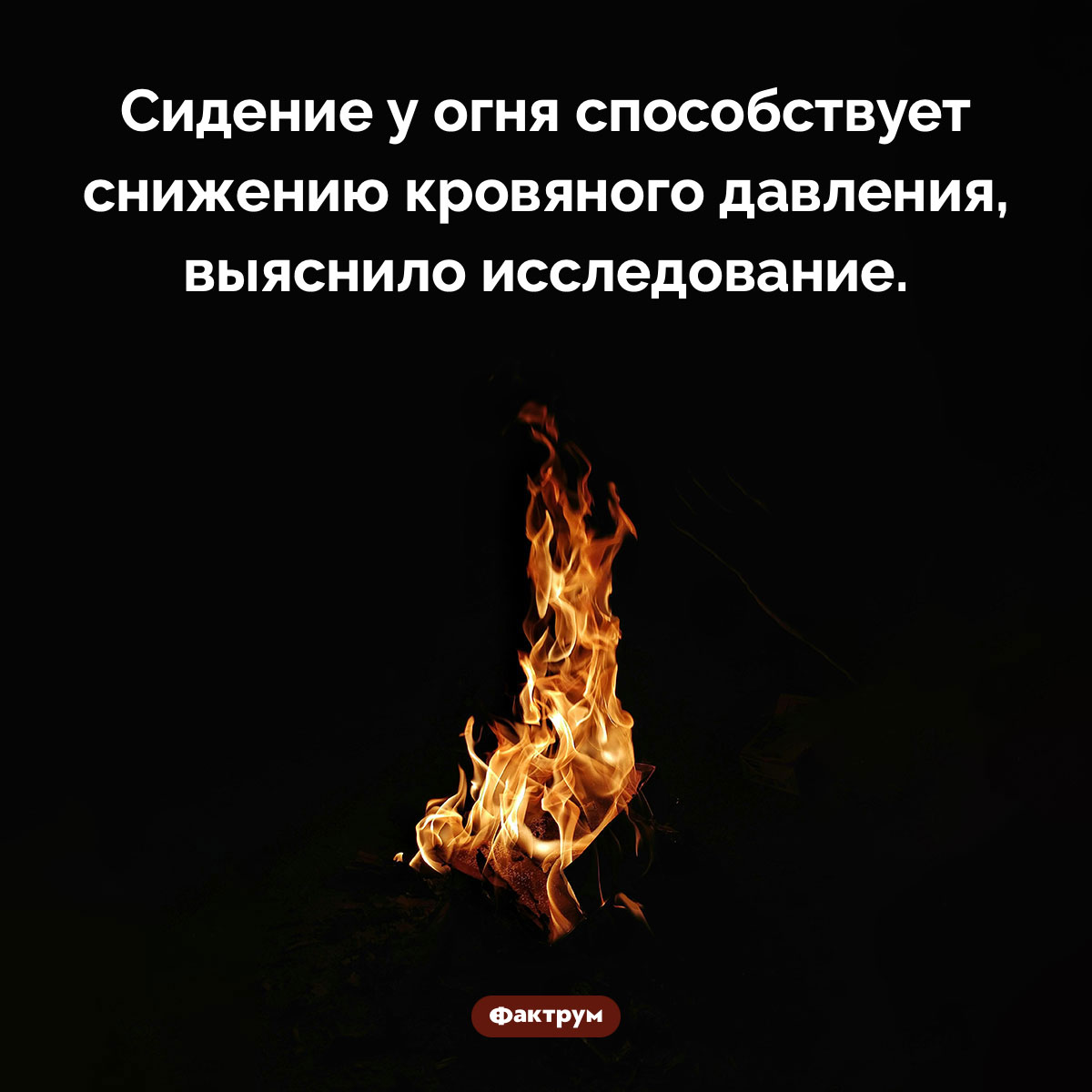 Польза сидения у огня - похожая новость на Toplenta