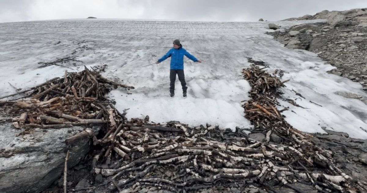 В Норвегии вытаяла древняя ловушка для северных оленей - свежие новости на Toplenta по теме Северных