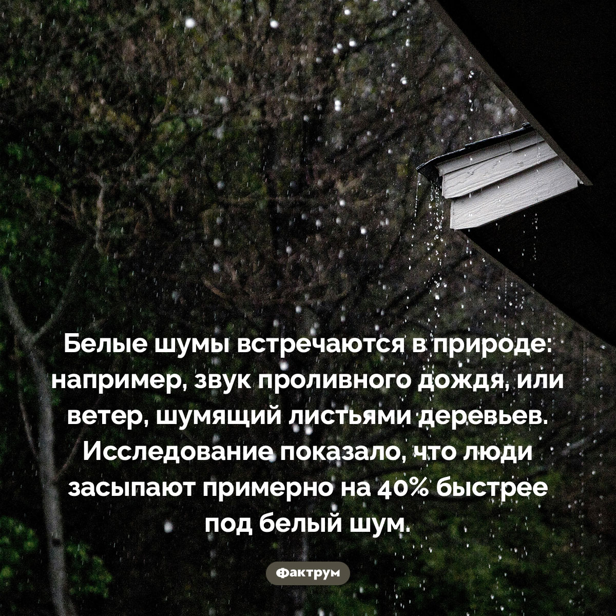 Звук дождя — это белый шум - похожая новость на Toplenta