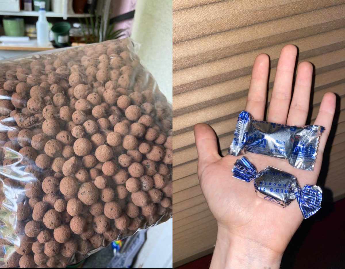 22 несъедобных предмета, которые так и хочется съесть - свежие новости на Toplenta по теме под