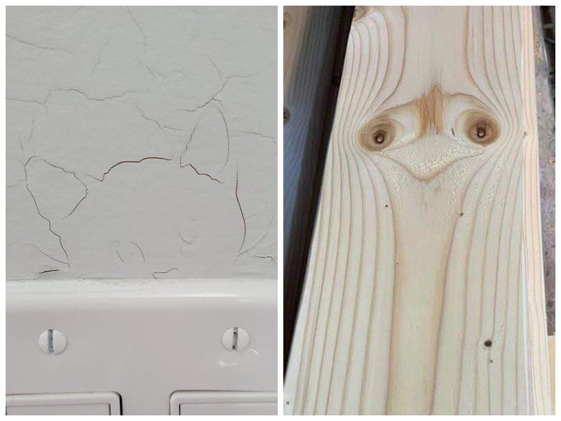 20 предметов, которые притворяются другими предметами - свежие новости на Toplenta по теме под