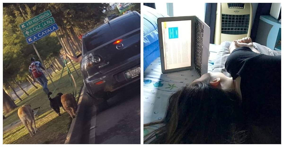 20 забавных примеров того, когда лень-матушка победила - свежие новости на Toplenta по теме под