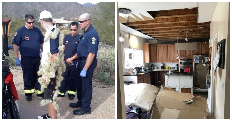 Люди показали свой плохой день. И их действительно жаль - свежие новости на Toplenta по теме Фейлы