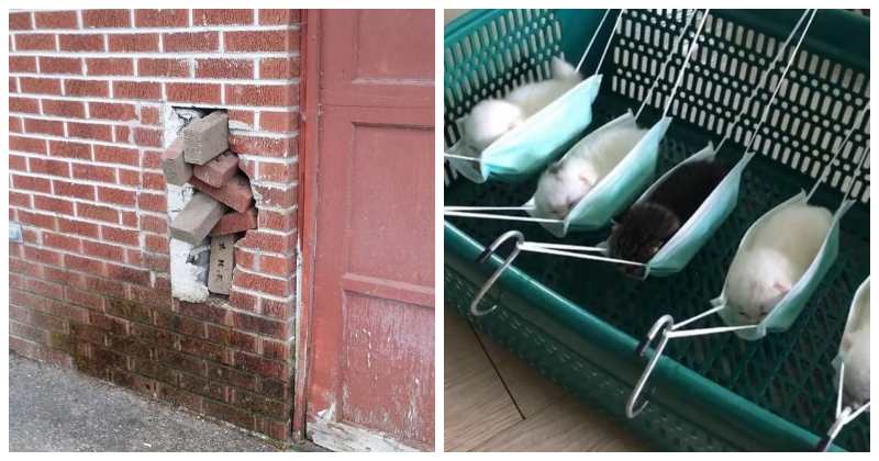 Я у мамы инженер: 22 фото-примера, когда сделано коряво, но функционально - свежие новости на Toplenta по теме рука