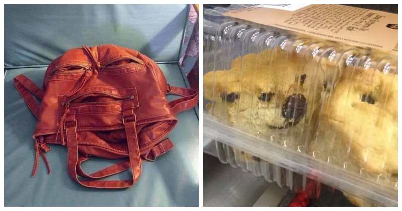 22 смешные оптические иллюзии из повседневной жизни - свежие новости на Toplenta по теме под