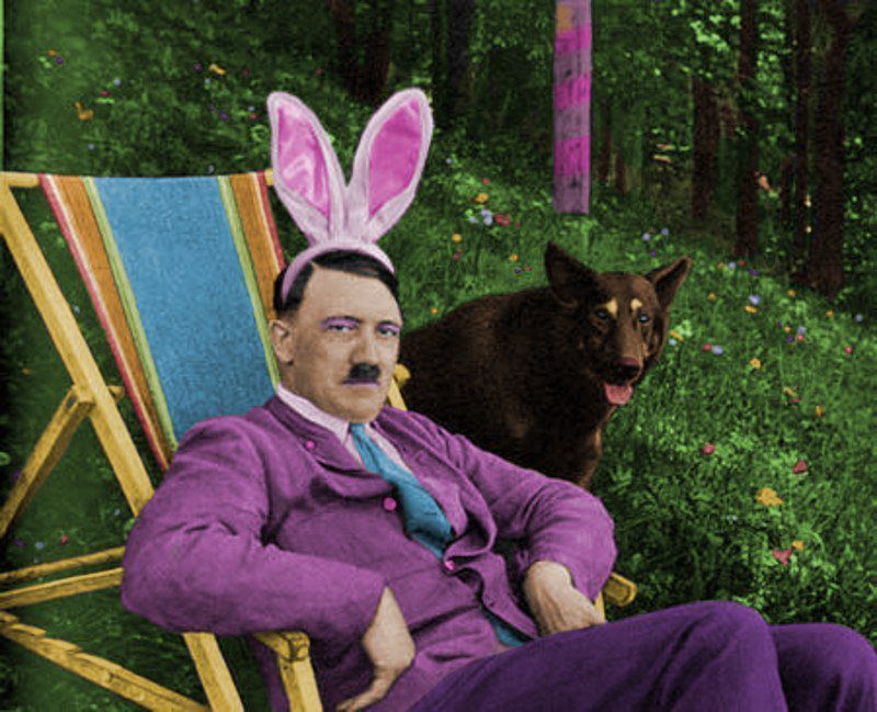 Зайка, киска, солнышко: краткий и очень ироничный справочник по комплиментам - свежие новости на Toplenta по теме Утки