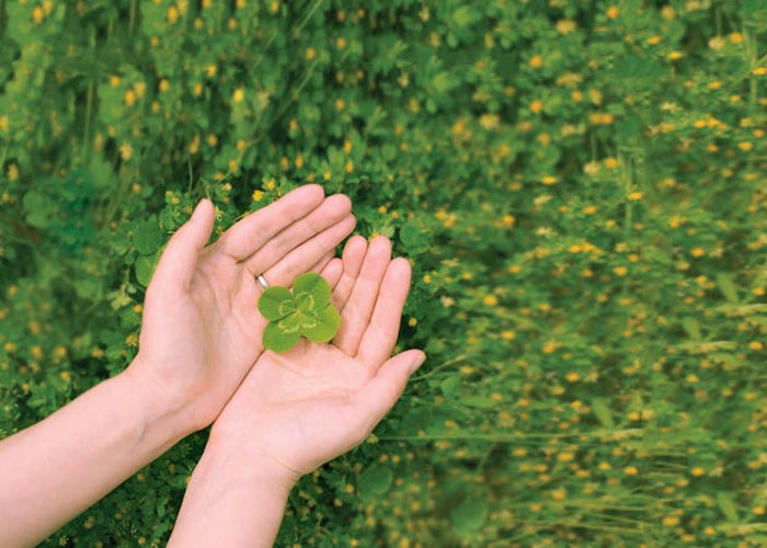 25 гифок о невероятном везении - свежие новости на Toplenta по теме МИР