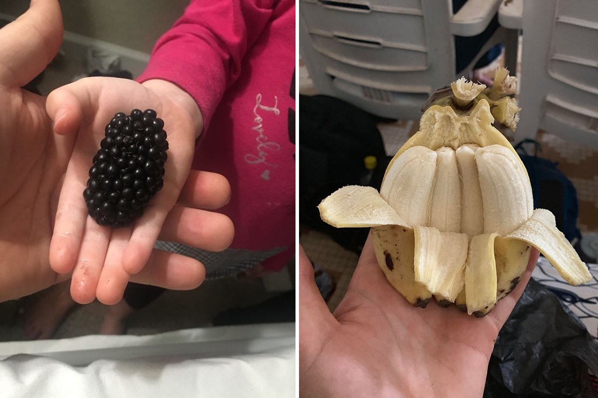 30 счастливчиков, которые сорвали джекпот в продовольственной лотерее - свежие новости на Toplenta по теме По