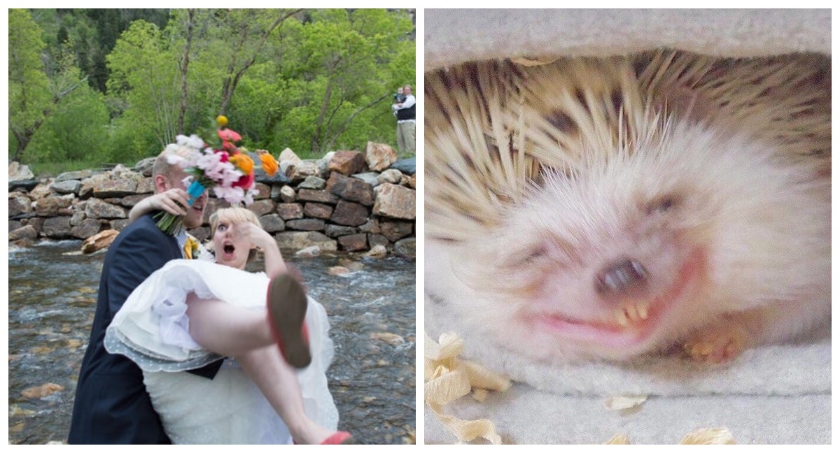 22 фото, сделанных в самый что ни на есть подходящий момент - свежие новости на Toplenta по теме По