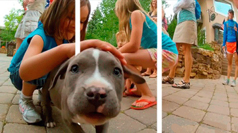 3D-очки не нужны — гифки, готовые выпрыгнуть из экрана - свежие новости на Toplenta по теме gif