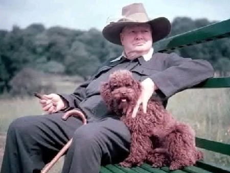 На позитиве! - свежие новости на Toplenta