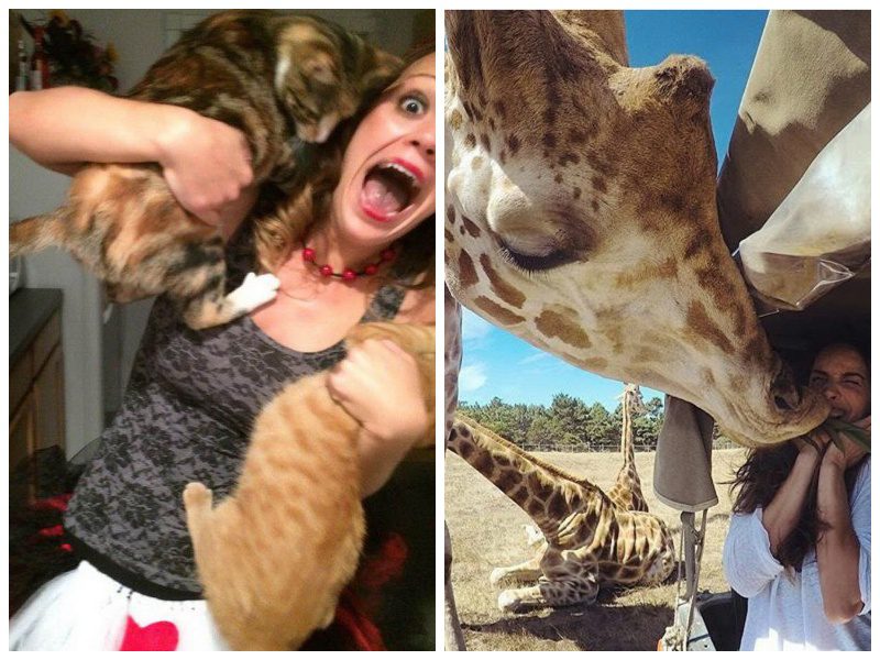 25 неожиданных фотографий, которые были сделаны в самый нужный момент - похожая новость на Toplenta