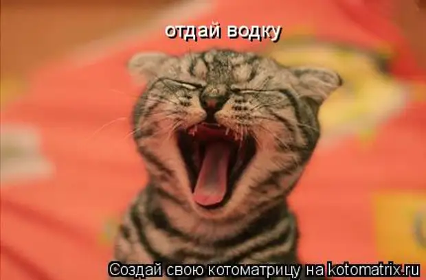 Отдай пузырь! - свежие новости на Toplenta по теме си