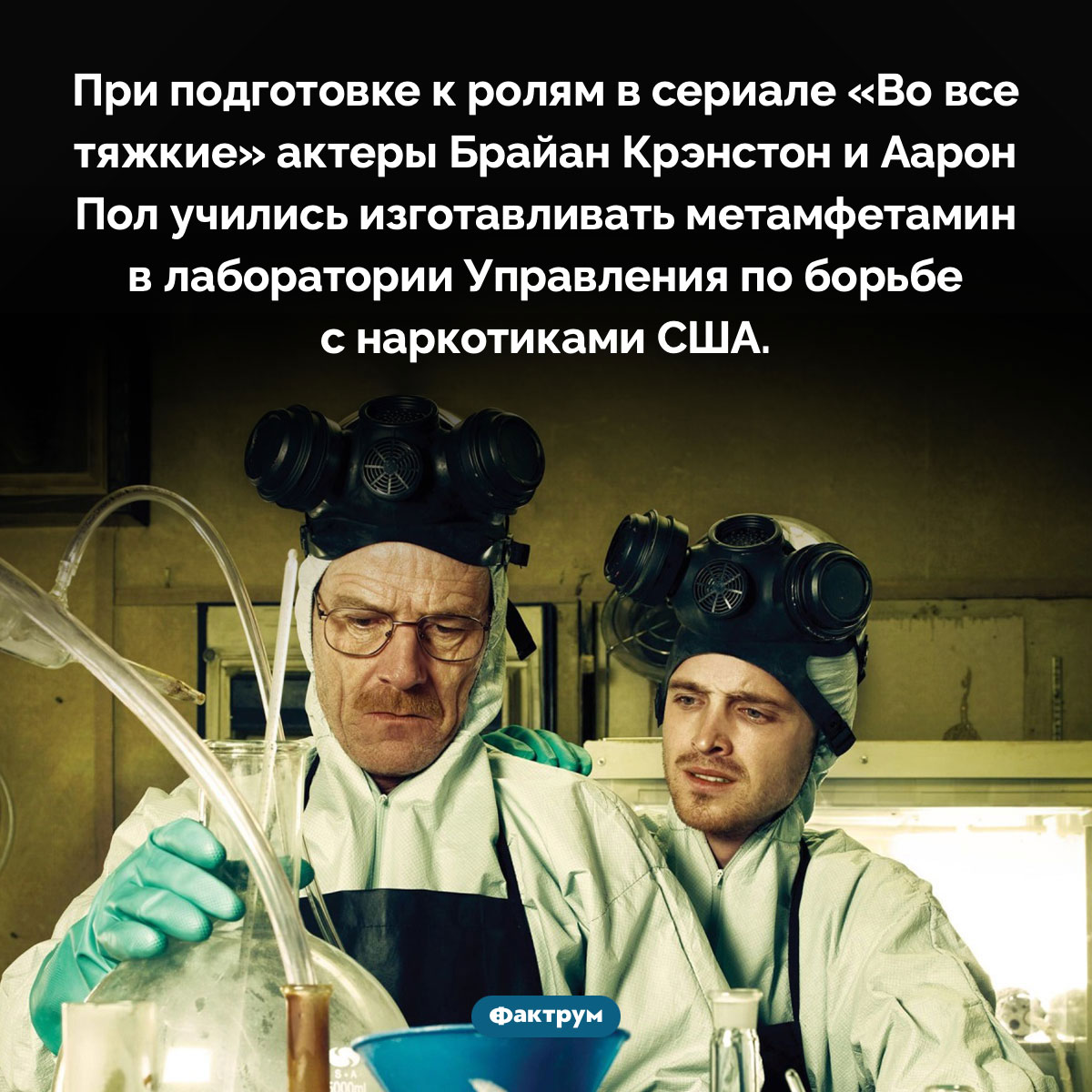 Актёры из сериала «Во все тяжкие» умеют изготавливать метамфетамин - свежие новости на Toplenta по теме Известны