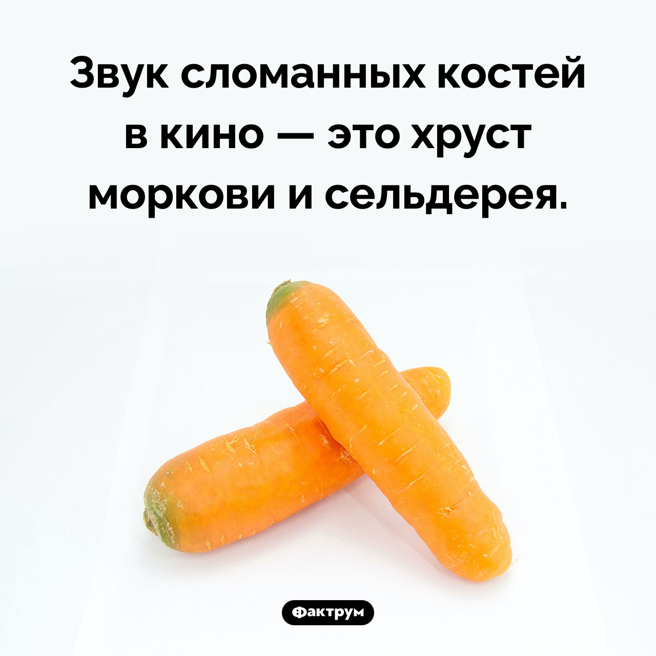 Звук сломанных костей в кино - свежие новости на Toplenta по теме Факт