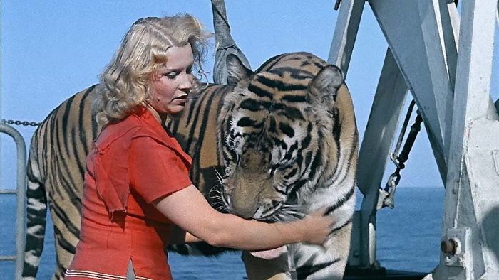 «Полосатый рейс»: съемки с риском для жизни... - свежие новости на Toplenta по теме СССР