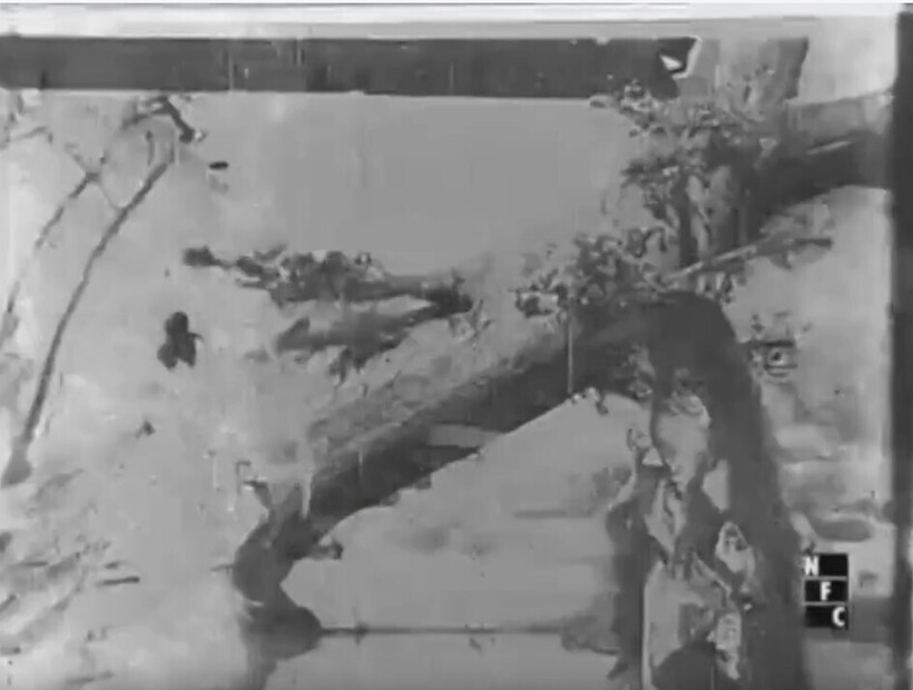 Самурай против демона в женском облике: о чем самый старый японский фильм - свежие новости на Toplenta по теме iv