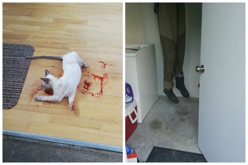 25 невинных вещей, которые чуть не вызвали у людей сердечный приступ - свежие новости на Toplenta по теме Показа