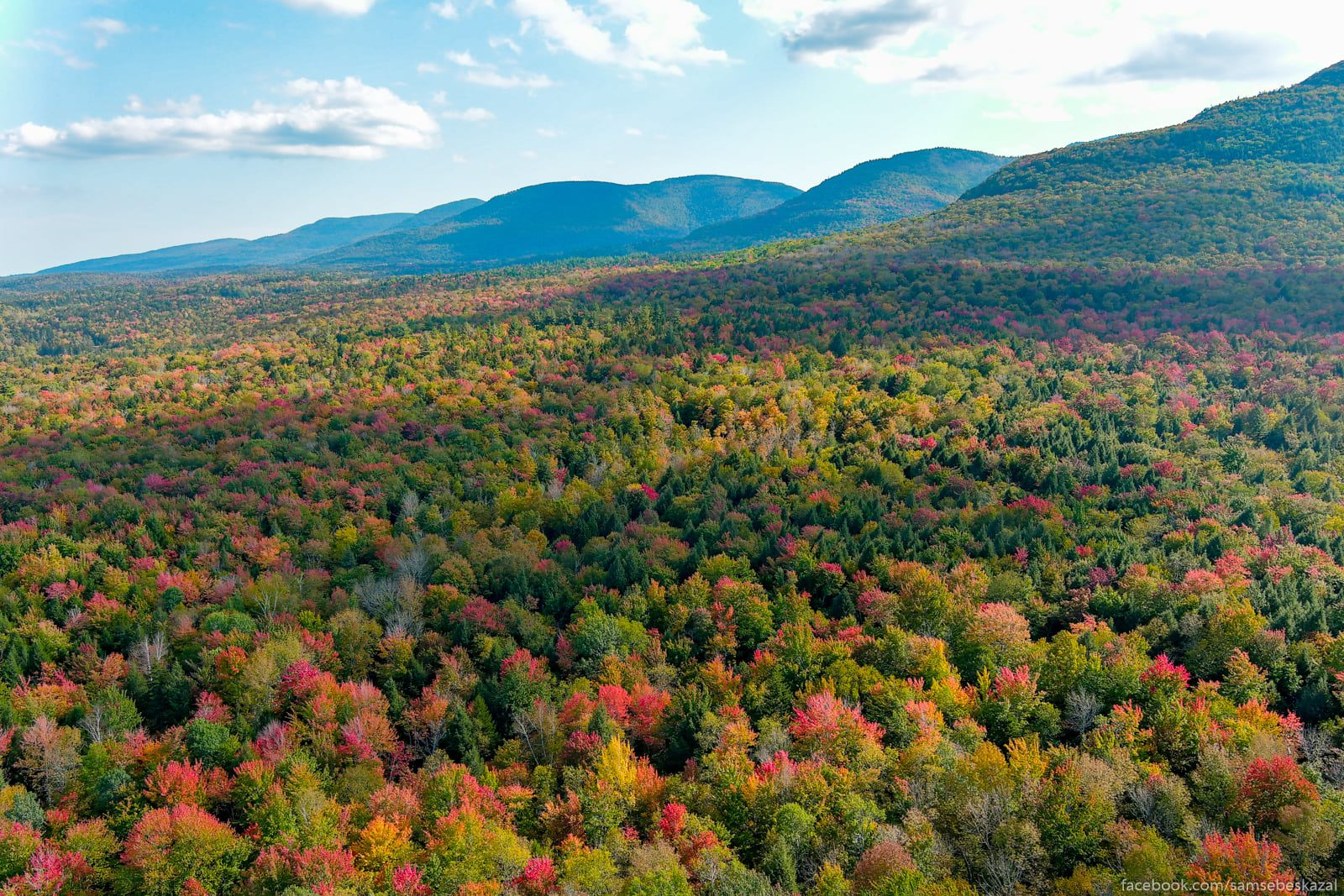Картинки неизбежности наступающей осенней красоты - свежие новости на Toplenta