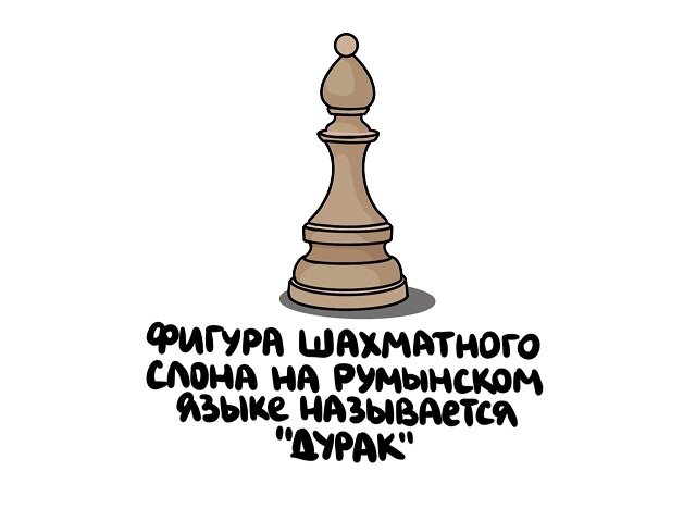 Интересные факты на все случаи жизни (15 фото) - свежие новости на Toplenta