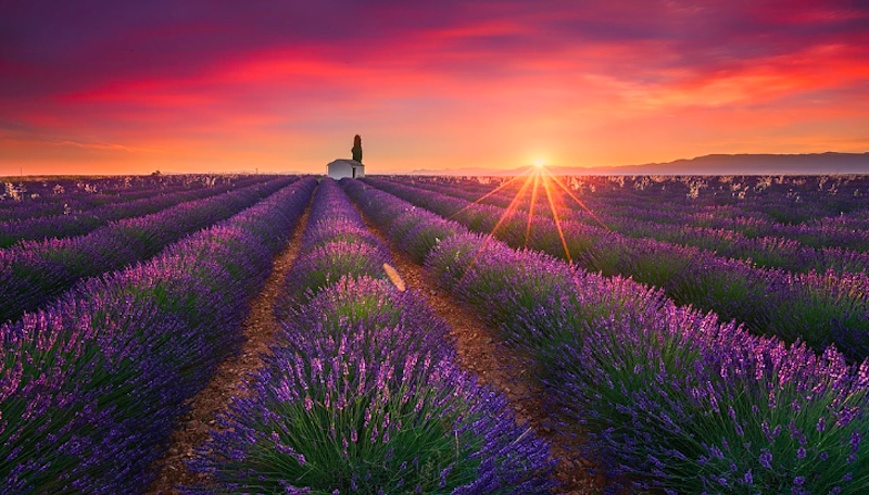 «Будьте терпеливы»: Профессиональный фотограф открывает главный секрет идеальных снимков - свежие новости на Toplenta по теме Граф