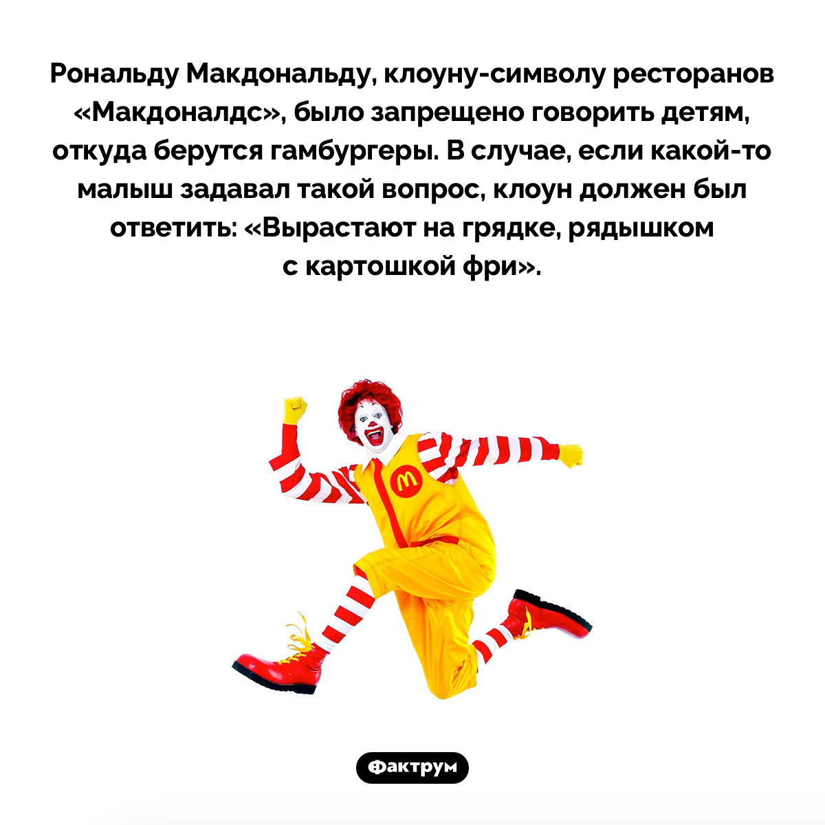 Откуда берутся гамбургеры - свежие новости на Toplenta по теме Фас