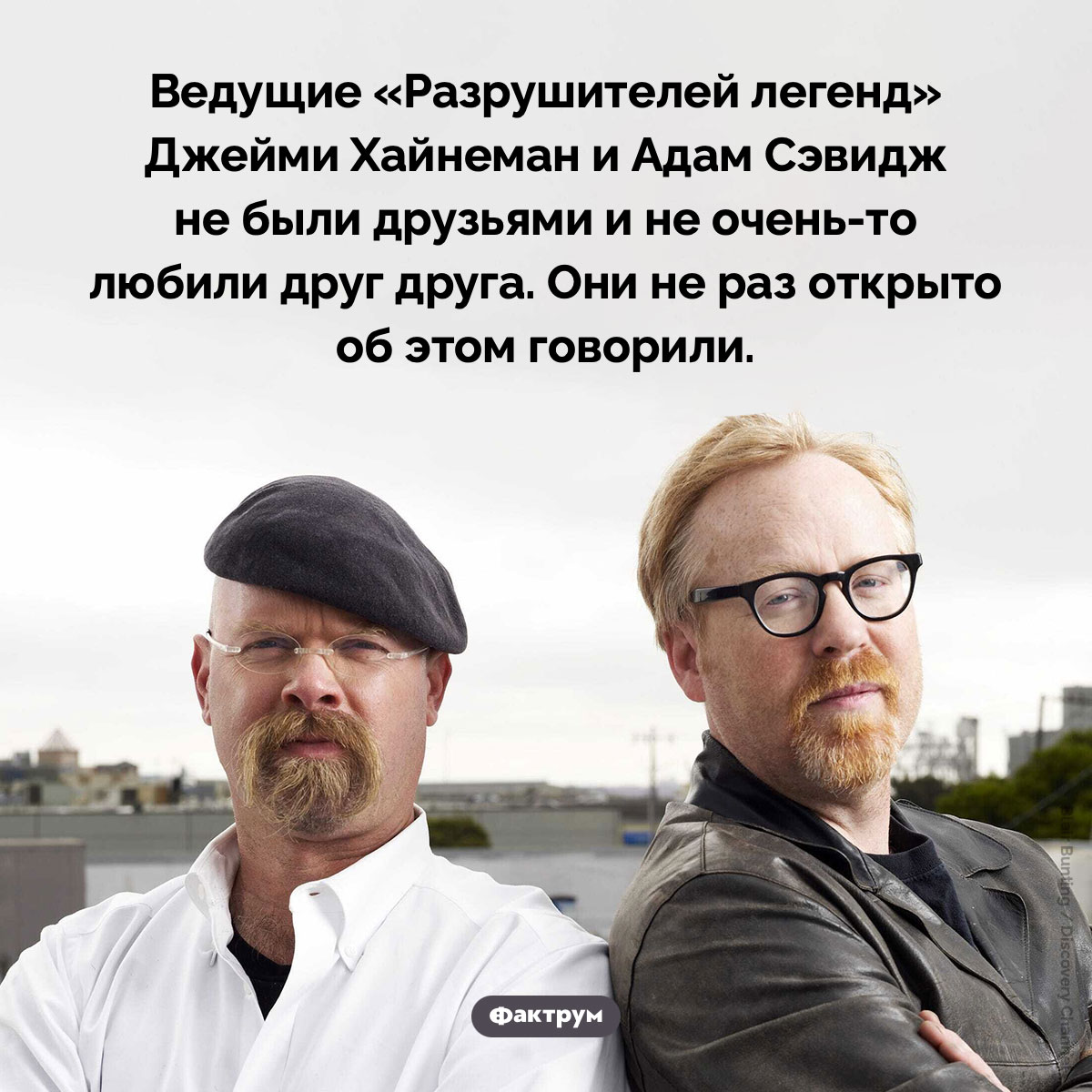 Ведущие «Разрушителей легенд» не были друзьями - свежие новости на Toplenta по теме культура