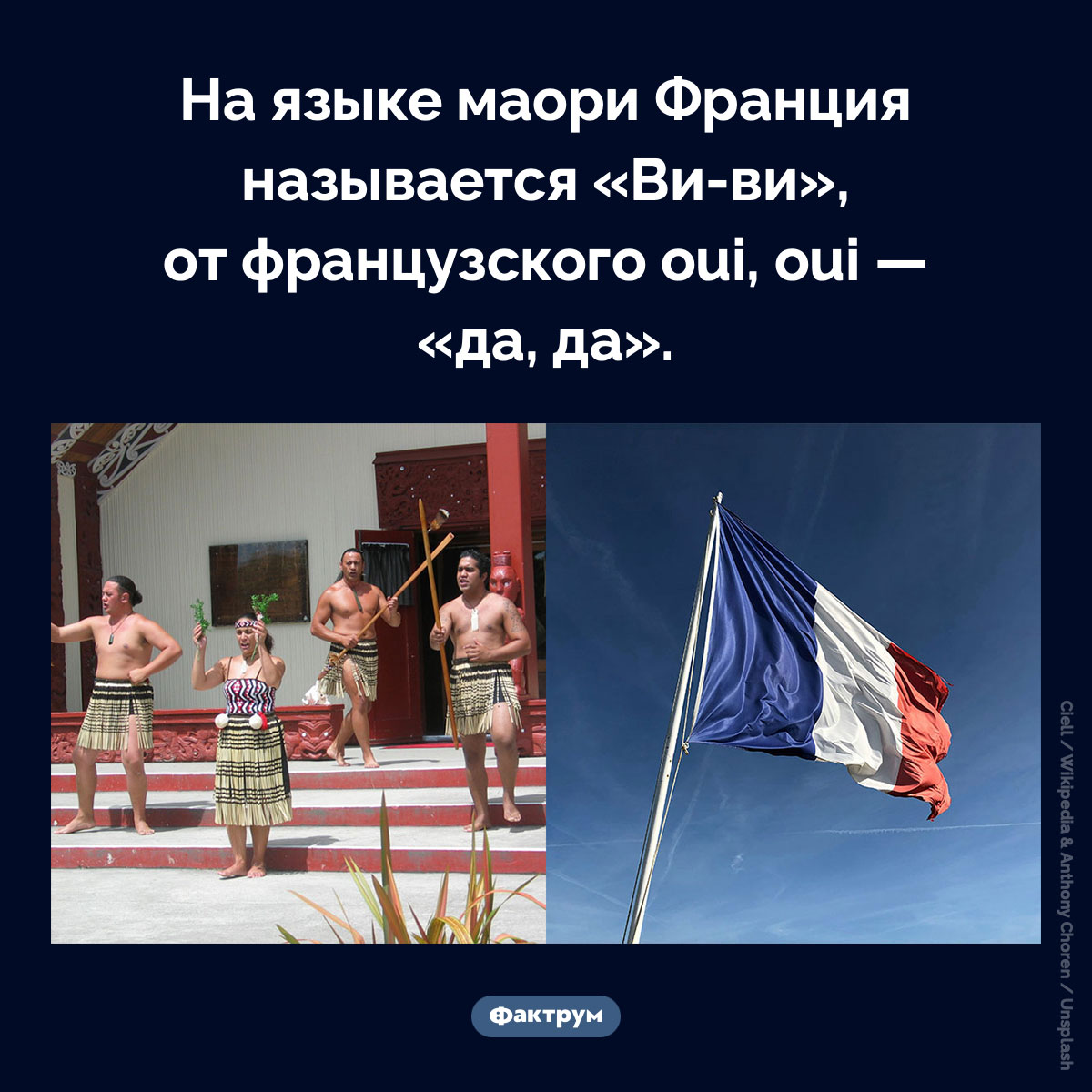 Маори называют Францию «Ви-ви» - свежие новости на Toplenta по теме Факт