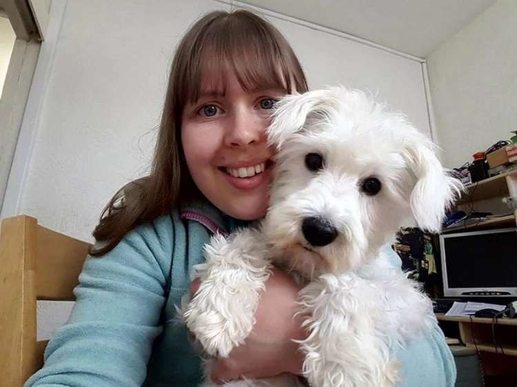 Женщине наконец-то удалось усадить 17 своих питомцев в одном месте и сфотографировать - свежие новости на Toplenta по теме животные