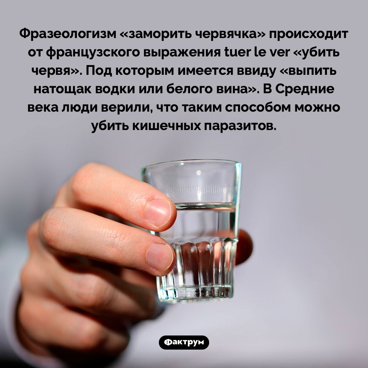 Происхождение фразеологизма «заморить червячка» - свежие новости на Toplenta по теме Рви