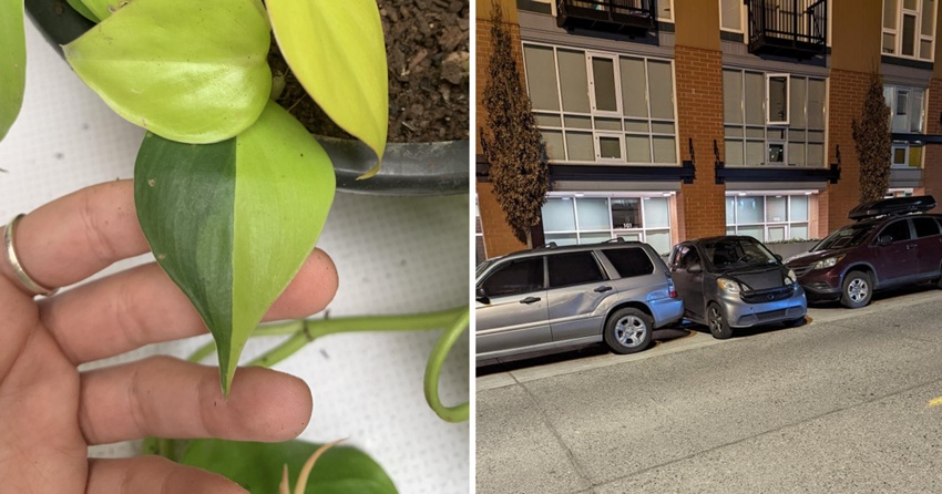 30 занятных фото разных разностей, которые вызывают интерес - свежие новости на Toplenta по теме под