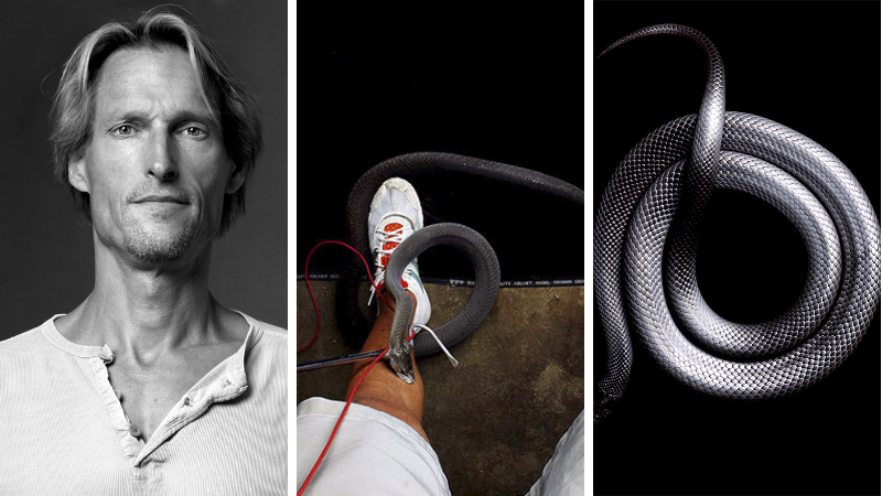 Невероятная красота ядовитых змей в фотопроекте Марка Лайта - свежие новости на Toplenta по теме Граф