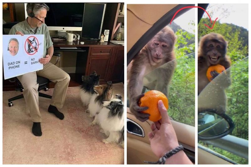 20 супер-мимимишных фотографий, которые вызовут у вас восторг - свежие новости на Toplenta