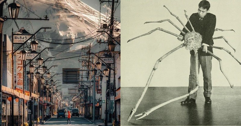 22 фото действительно гигантских вещей, которые могут вызвать приступ мегалофобии - свежие новости на Toplenta по теме под