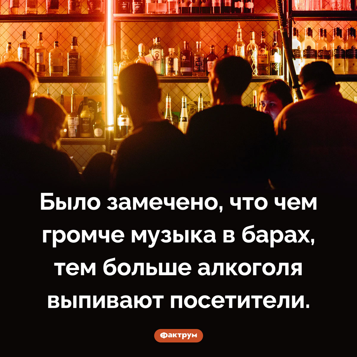 Громкая музыка и потребление алкоголя - свежие новости на Toplenta по теме культура