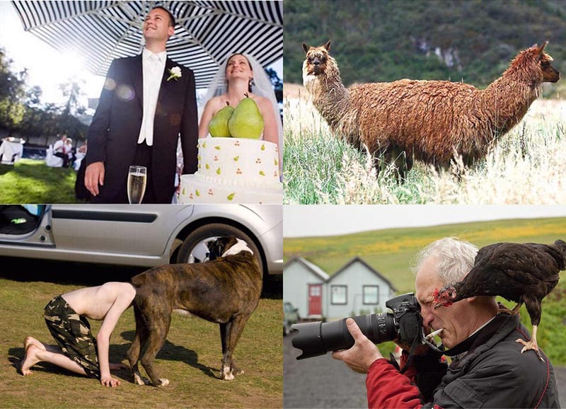 Лови момент - свежие новости на Toplenta по теме профессионал