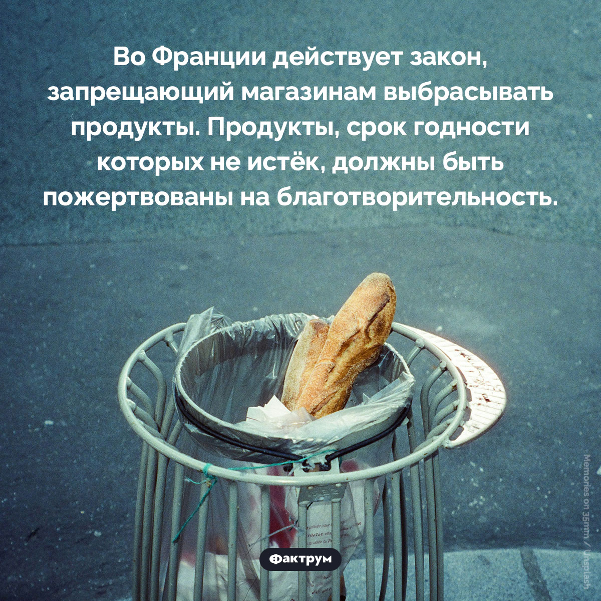Французским магазинам нельзя выбрасывать еду - свежие новости на Toplenta по теме законы