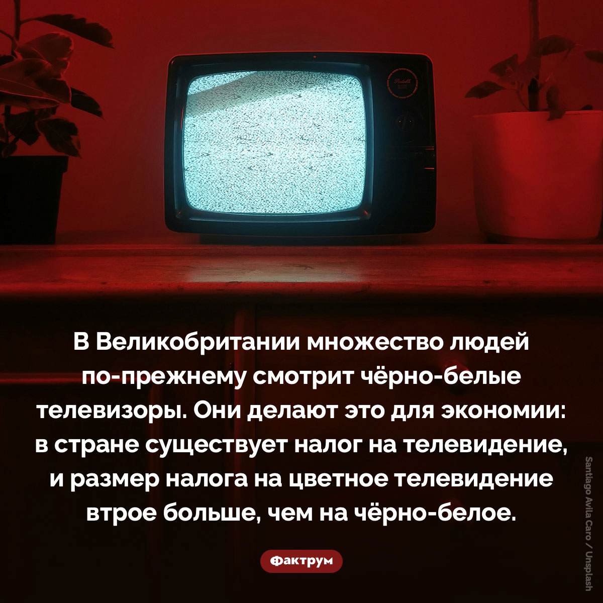 Почему англичане смотрят чёрно-белые телевизоры - свежие новости на Toplenta по теме Факт