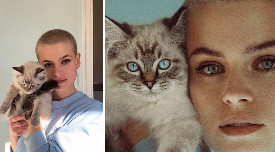 Фотограф показал, как делают идеальные фото - свежие новости на Toplenta по теме Школ