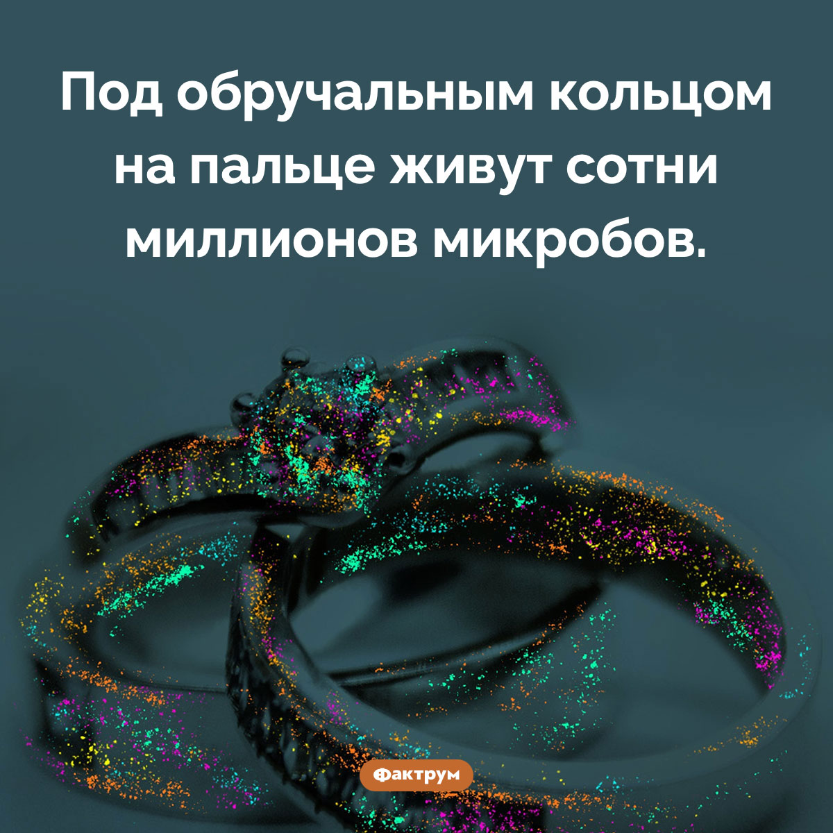 Сколько бактерий под обручальным кольцом - свежие новости на Toplenta по теме бактерии