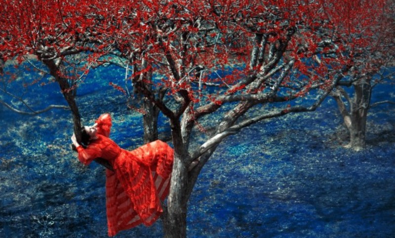 Живописец с фотокамерой Эрик Мадиган Хек и его феерические игры с цветом - свежие новости на Toplenta по теме Художник