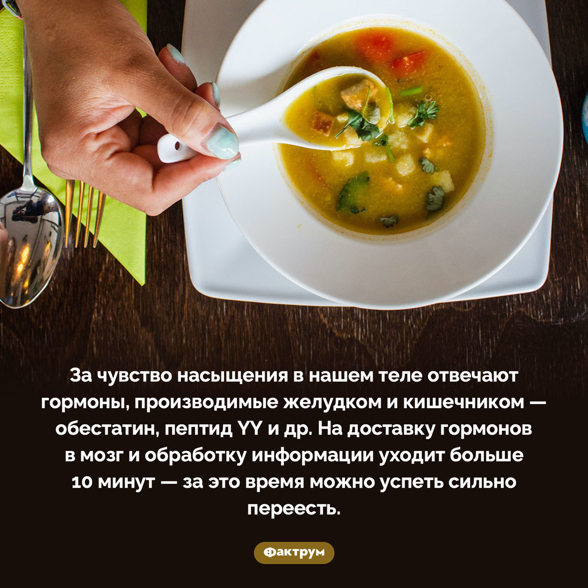 Почему чувство насыщения всегда приходит с опозданием - свежие новости на Toplenta по теме Чел