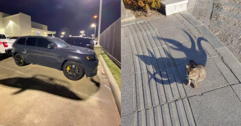 22 прекрасных примера игры света и тени - свежие новости на Toplenta по теме МИР