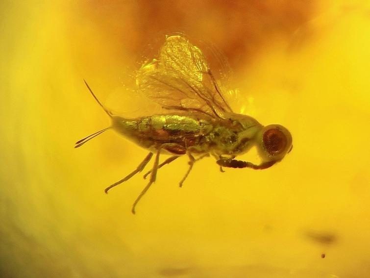 20 необычных фотографий, которые способны удивить даже самых искушенных - свежие новости на Toplenta по теме бор