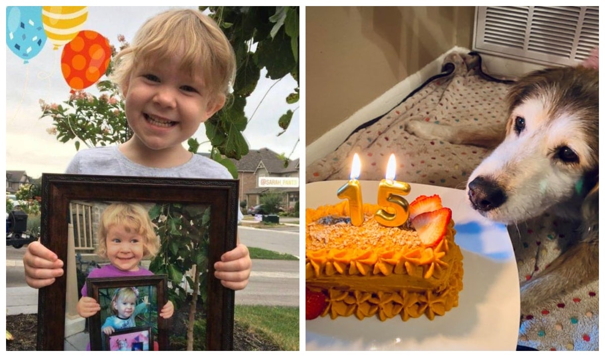 22 фото, на которых зашкаливает уровень мимимишности - свежие новости на Toplenta по теме Домашние