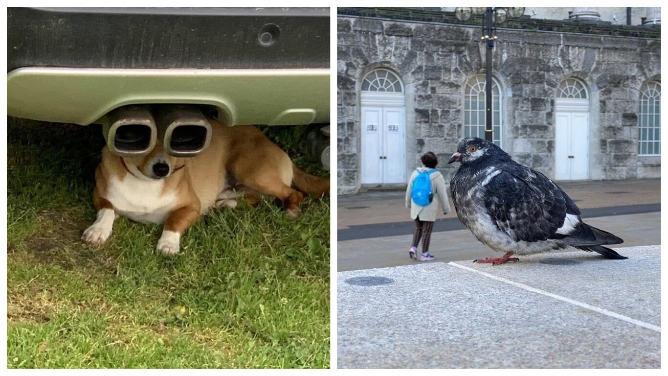 22 удивительных фото, где ракурс решает - свежие новости на Toplenta