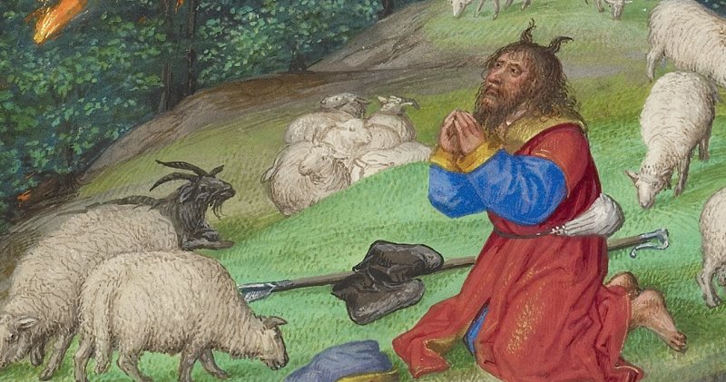 Почему пророка Моисея раньше изображали с рогами на голове? - свежие новости на Toplenta