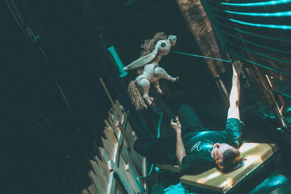 Рязанский театр кукол покажет спектакль про Конька-Горбунка - свежие новости на Toplenta