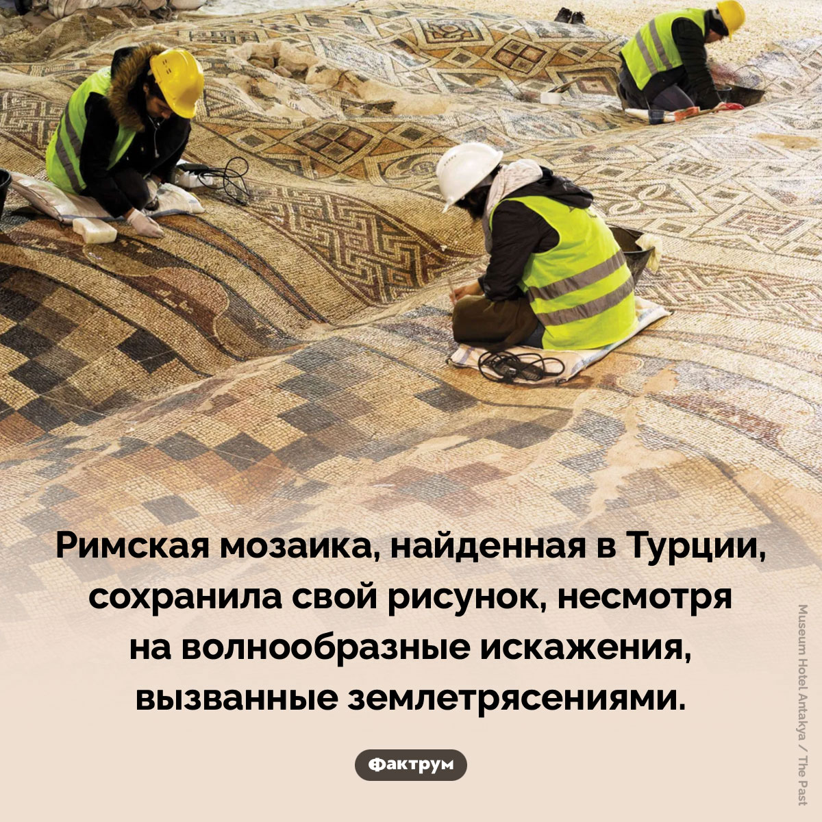 Удивительная римская мозаика - свежие новости на Toplenta по теме Наук