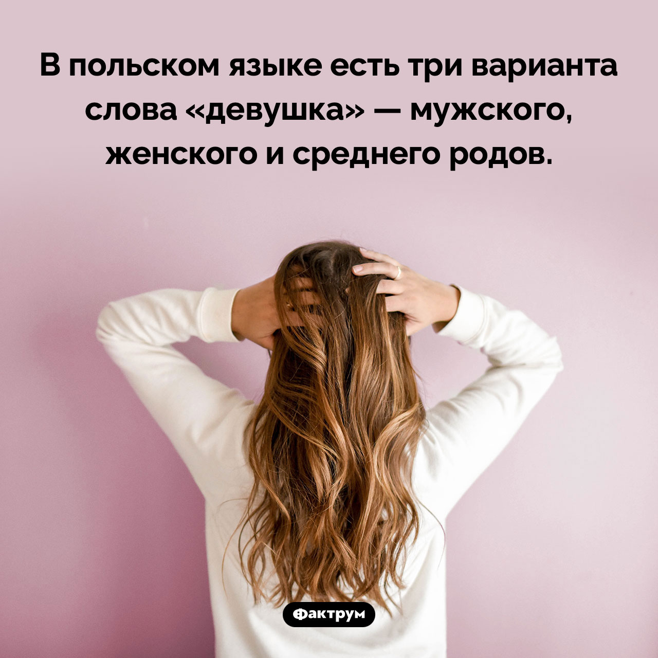 Польская «девушка» - свежие новости на Toplenta